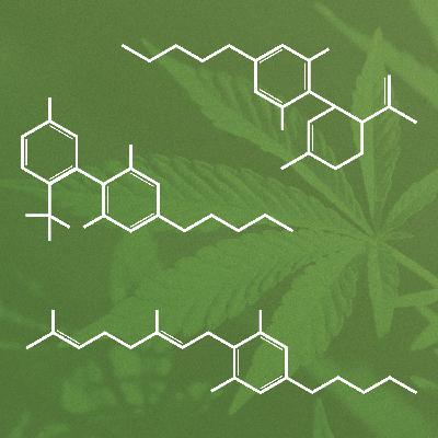 Cannabis Research Isn't Medicine