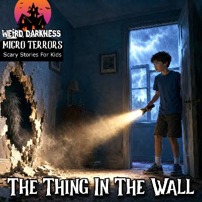 THE THING IN THE WALL: My First and Last Time House-Sitting