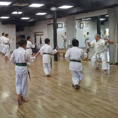 Episode 70: Running a Dojo