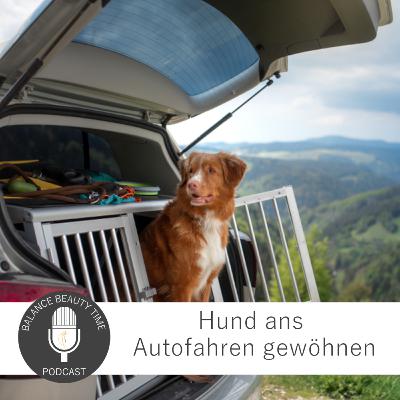 Hund ans Autofahren gewöhnen: Experten-Podcast mit Stefanie Krukemeyer Hund ans Autofahren gewöhnen: Experten-Podcast mit Stefanie Krukemeyer