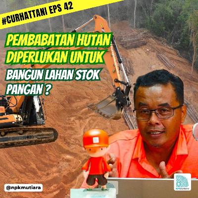 Stok Pangan Atau Kelestarian Hutan?! Mana Yang Harus Diutamakan | CurHatTani #42