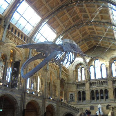 #34 マニアック過ぎる博物館の話(ゲスト:サイエンマニア レンさん) #34 マニアック過ぎる博物館の話(ゲスト:サイエンマニア レンさん)