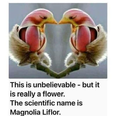 Incredible You