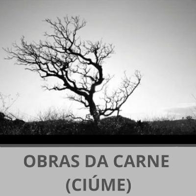 #593 Ciúme, inveja e imitação. #593 Ciúme, inveja e imitação.