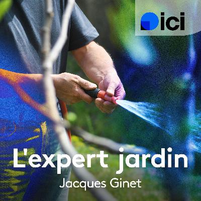 Vous cherchez une alternative aux engrais de synthèse ?