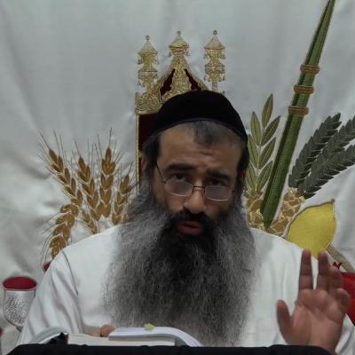 הלבשה איכותית והלבשה כמותית 19