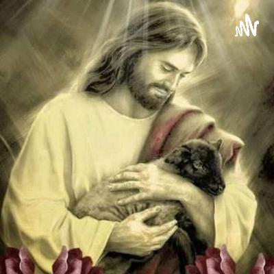 Domingo XII del tiempo ordinario. 20 de Junio 2021. Evangelio Segùn San Marcos 4,35-41