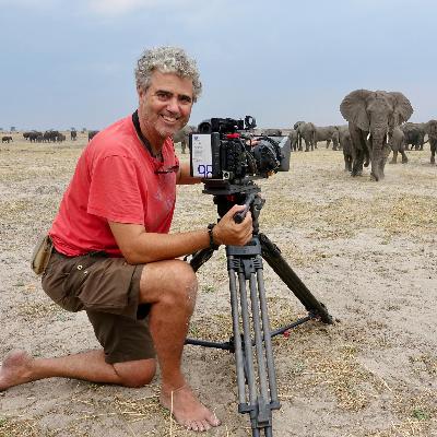 Tierfilmer - Jens Westphalen wartet stundenlang für wenige Aufnahmen Tierfilmer - Jens Westphalen wartet stundenlang für wenige Aufnahmen