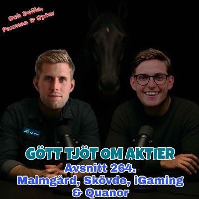 264. Malmgård, Skövde, iGaming & Quanor