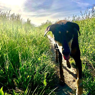 Smuggling Hope Smuggling Hope