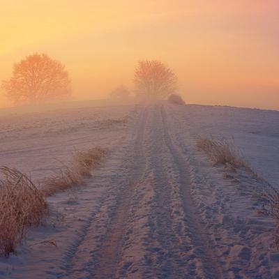 Adventkalender #22 Ingeborg Schlosser