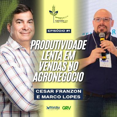 PRODUTIVIDADE LENTA EM VENDAS NO AGRONEGÓCIO