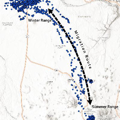 S4 E13 – Mapping the Herd with AZ Biologists Lucas Olson and Jackson Miller S4 E13 – Mapping the Herd with AZ Biologists Lucas Olson and Jackson Miller