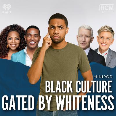 Black Culture, Gated by Whiteness | MiniPod