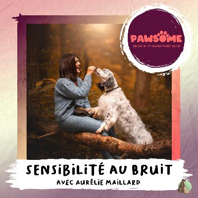 4. La sensibilité au bruit avec Aurélie Maillard de Pawsome ! 🔊