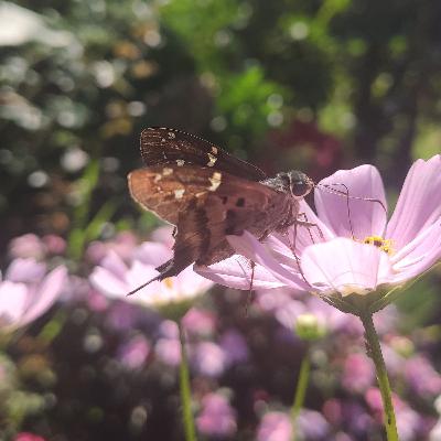 Luto e Espiritualidade