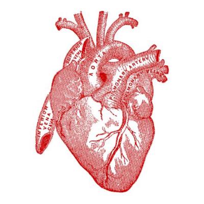 On my heart On my heart