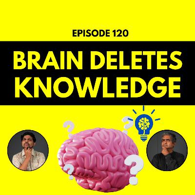 Your Brain Deletes Knowledge on Purpose - Future IQ