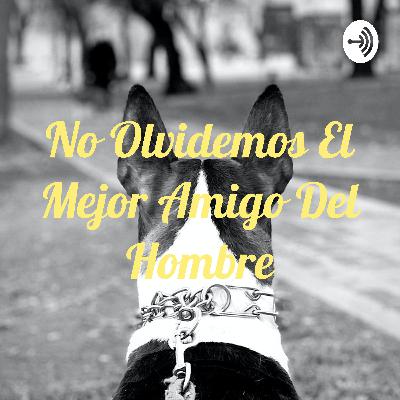 No olvidemos al mejor amigo del hombre y la tecnología