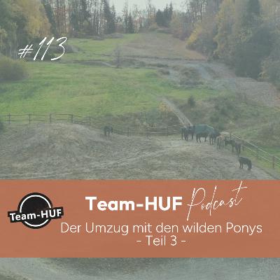Folge 113: Umzug mit den wilden Ponys - Teil 3