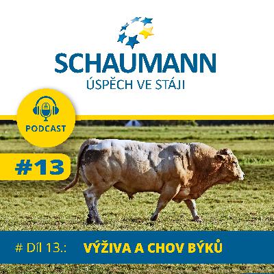 #Díl 13.: Schaumann - VÝŽIVA A CHOV BÝKŮ
