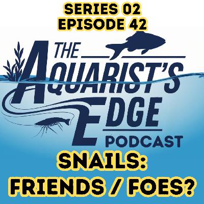 Snails In Freshwater Aquariums - Friends or Foes? Snails In Freshwater Aquariums - Friends or Foes?