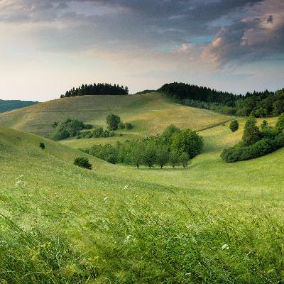 Traumatic Landscapes (Article Review) Traumatic Landscapes (Article Review)