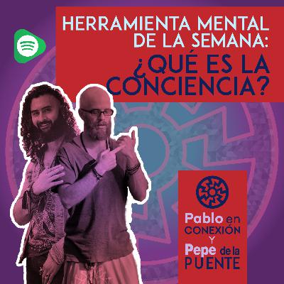 ¿Qué es la Conciencia? ¿Qué es la Conciencia?