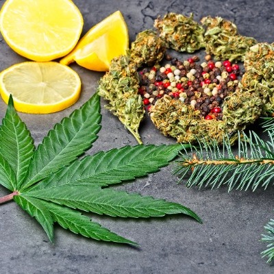 The Healing Power of Canadian Weed: Ordering Online for Stress Relief The Healing Power of Canadian Weed: Ordering Online for Stress Relief