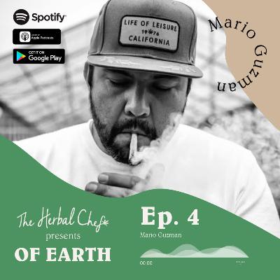 OF EARTH by The Herbal Chef | Ep.4 - Mario Guzman (Sherbinski) | Founder & C.E.O of Sherbinskis