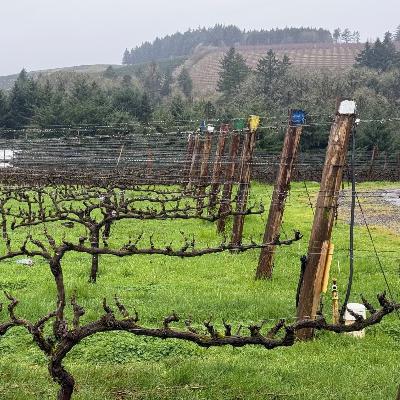 Wine country is heating up Wine country is heating up