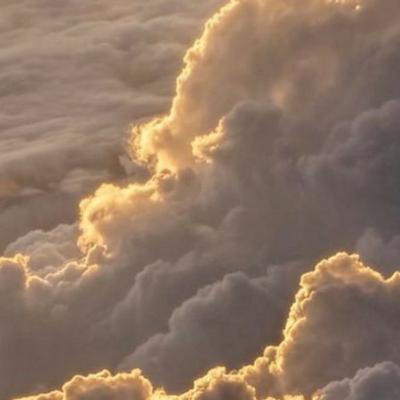 Observing The Silence 😌 Observing The Silence 😌