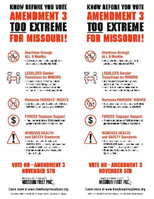 Vote No Amendment 3 Vote No Amendment 3