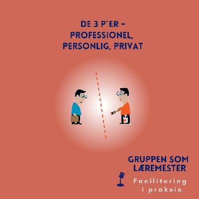 De 3 P´er - Professionel, Personlig, Privat