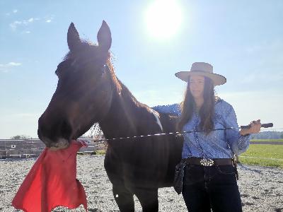 Folge 9: Schlechte Angewohnheiten – Bad Habits