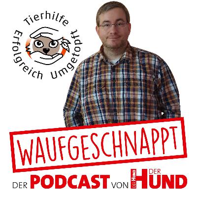 Erfolgreich umgetopft - Patrick Stumm