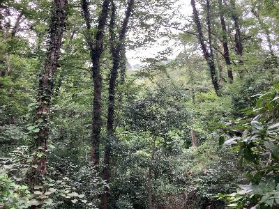 2152◆虫との共生を考える~害虫意識と排外主義の関係~ 2152◆虫との共生を考える~害虫意識と排外主義の関係~