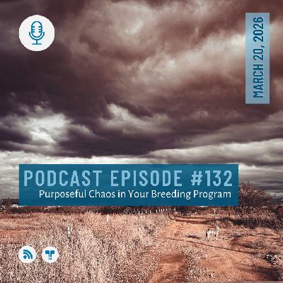 #132 - Purposeful Chaos in Your Breeding Program