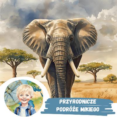 Przyrodnicze podróże Mikiego - Odcinek ze słoniem