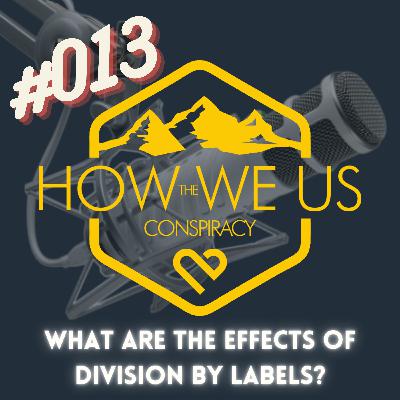 #013 - What are the Effects of Division by Labels?