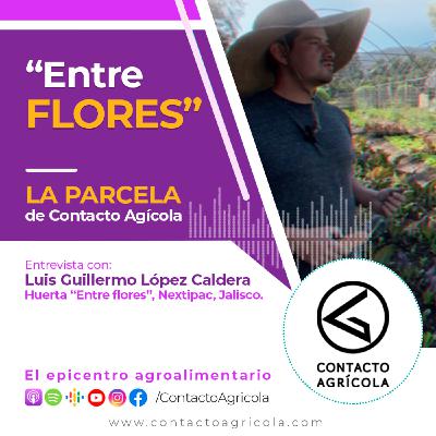 La Parcela, Huerto entre Flores