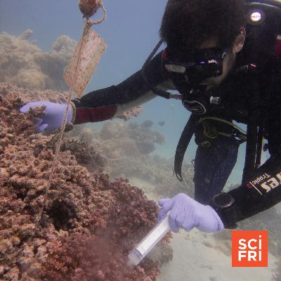 Can A Microbe Conservation Movement Take Off? Can A Microbe Conservation Movement Take Off?