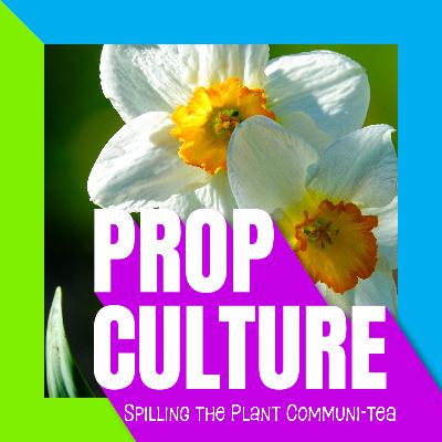 S02E04 | Daffodils, Community, and What’s the Deal Plant Content IP & Content Theft?
