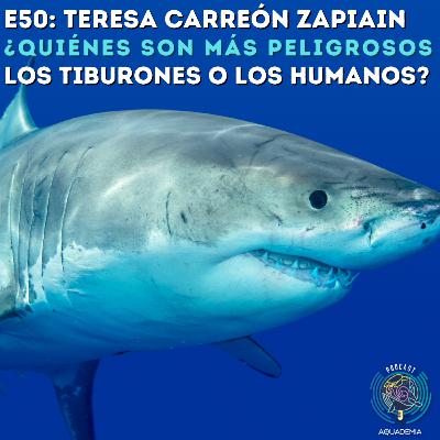 E50: Teresa Carreón ¿Quiénes son más peligrosos los tiburones o los humanos? E50: Teresa Carreón ¿Quiénes son más peligrosos los tiburones o los humanos?