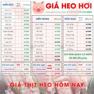 GIÁ HEO HƠI 21/12/2025 ✅ GIÁ THỊT LỢN & TIN TỨC CHĂN NUÔI #GIAHEOHOI #GIATHITHEO #GIAHEOUPDATE