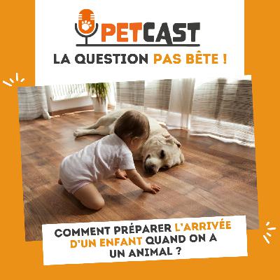 Comment préparer l'arrivée d'un enfant quand on a un animal ?