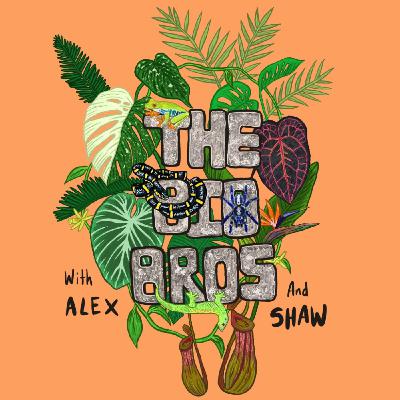 Amazing native plants: Arizona Amazing native plants: Arizona