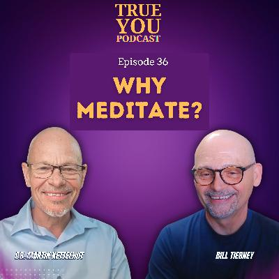 Episode 36: Why Meditate?