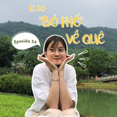 34. Lí do "bỏ phố" về quê