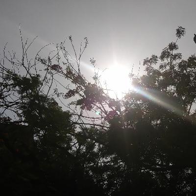 Espacio Psyché/ Viviendo Aquí y Ahora